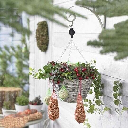 Mess-Free Plant Hanging